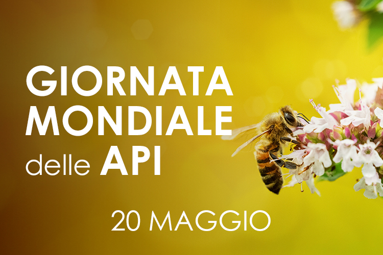 Giornata Mondiale Delle API Famacademy